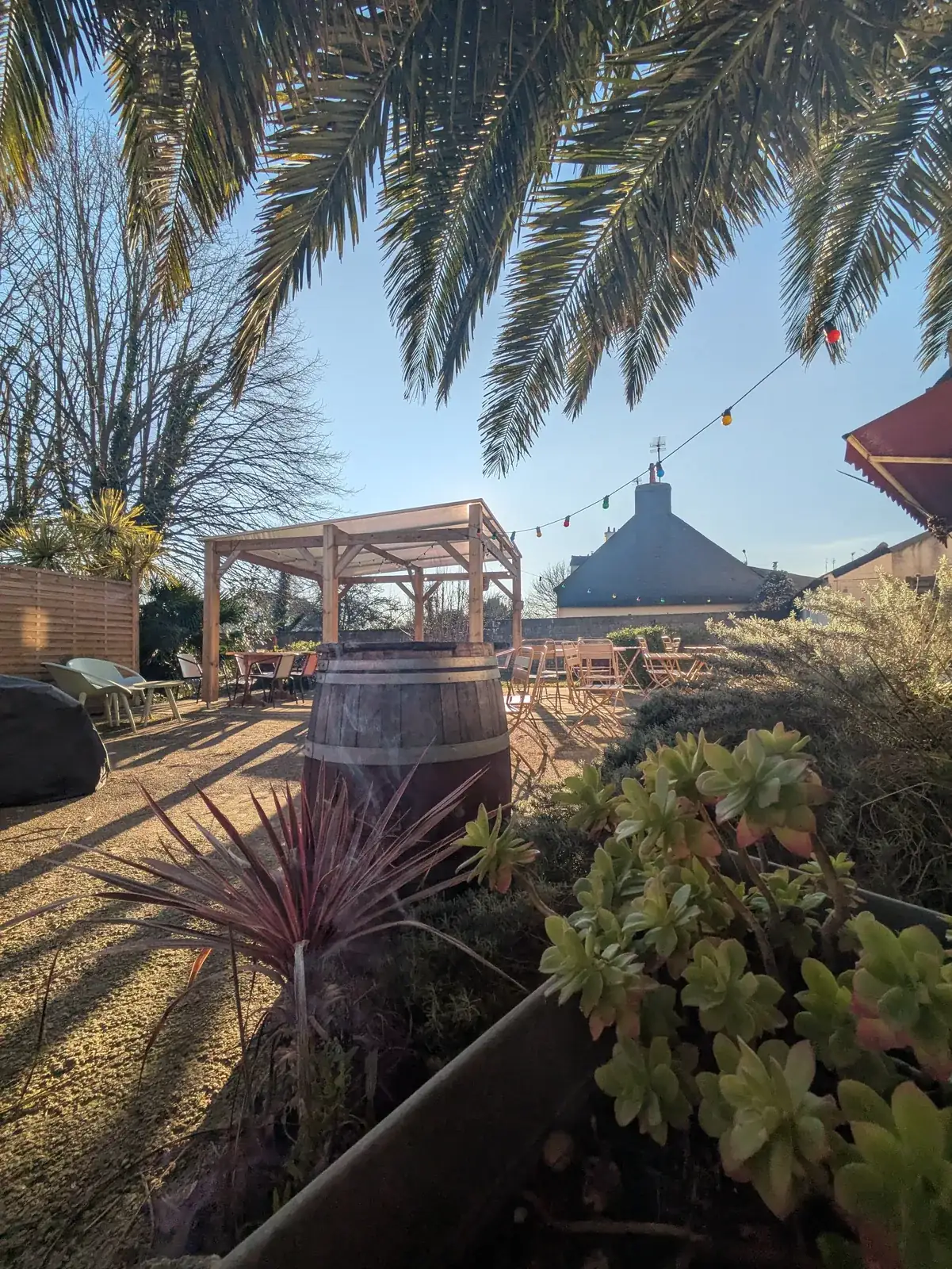 Le jardin d’À Ton Aise à Lorient, tonneau en premier plan sous le palmier, à la tombée du jour